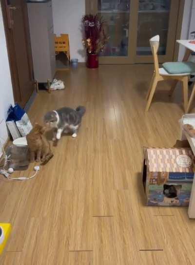 HMC while I launch an attack