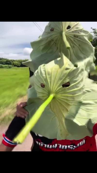 Eles estão indo pegar o Andre 😰