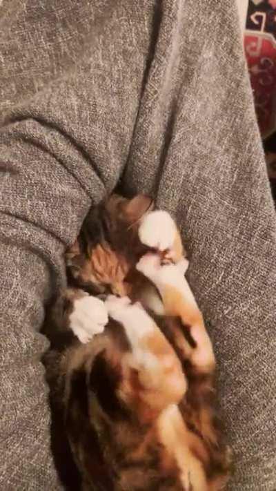 She is fighting for her life