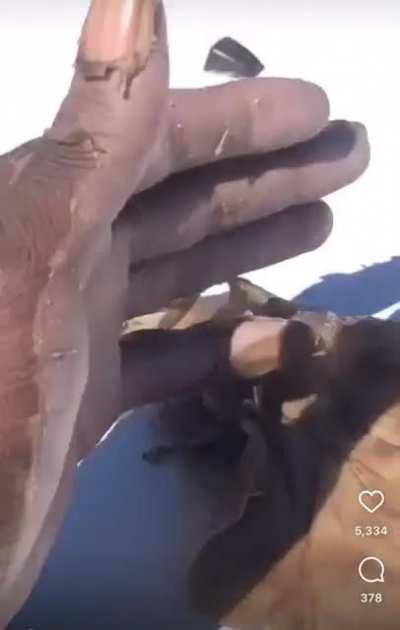 To keep your skin on