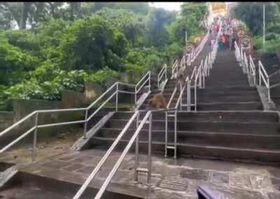 They're in a hurry I guess