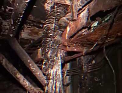 World'd first Elephant's Foot (Chernobyl)