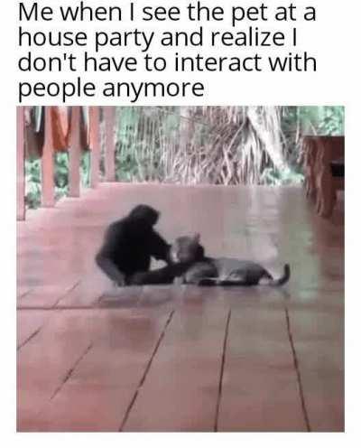 Monkey loves to cuddle