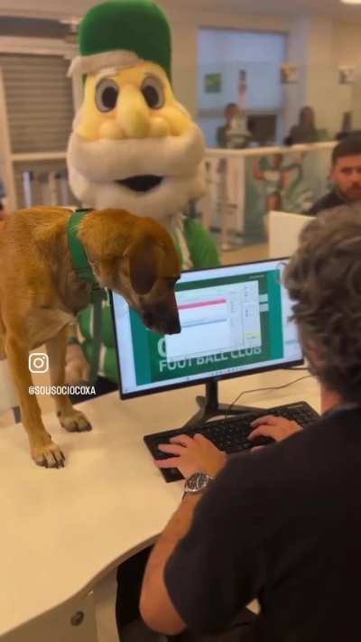 Vídeo que o Coritiba postou para promover pagamento da anuídade