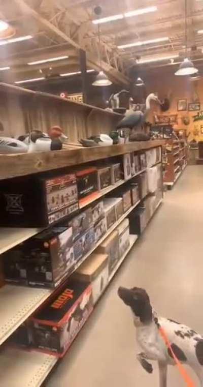 A hunter has been born