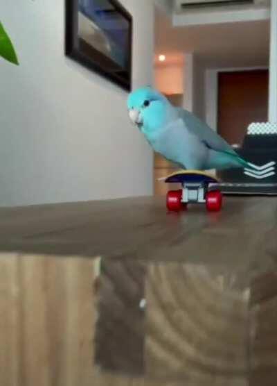 Surfy me. .....🥰🥰🥰🥰🥰