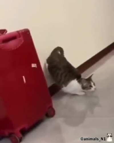 Не нападай на настоящего мастера..