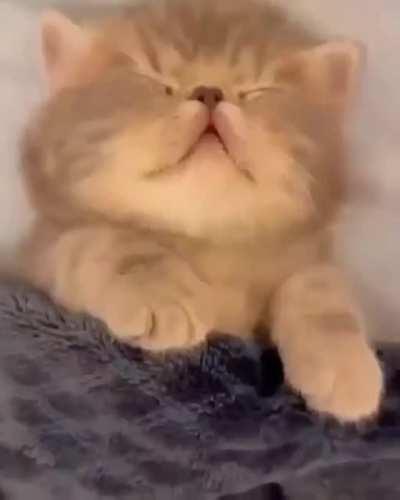 Ow my Sweet Heart!♥ Love you baby!😍