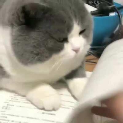 Do I look like I give a damn?