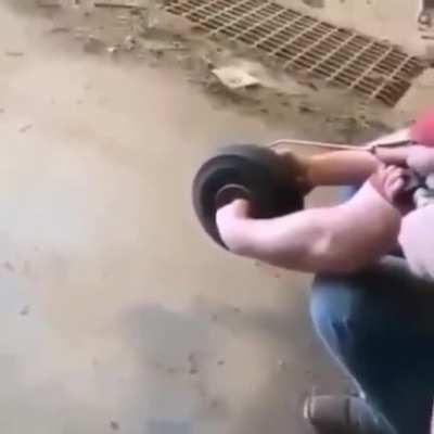 Wheel vs dog