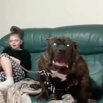 This little girl with her dog