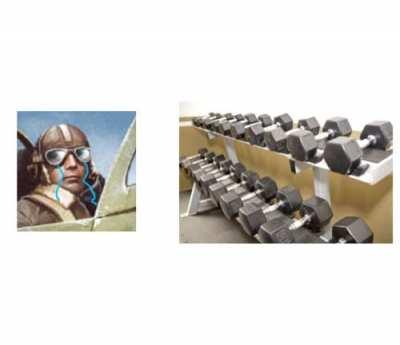 Nigel Transformation