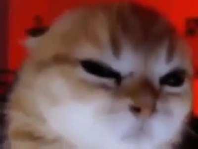 Very angry world destroyer wunk