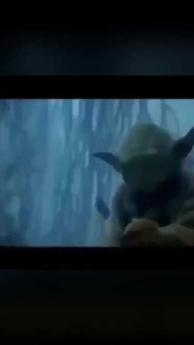 Yoda says N-Word