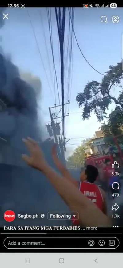 Fur mom saves her fur babies on fire