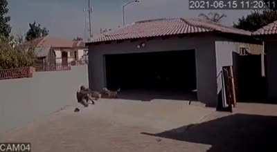 What could go wrong? Trespassing ok someone's property.