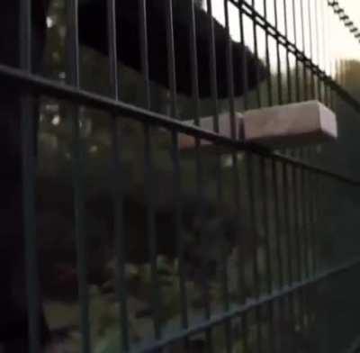 The silicon valley of Europe 