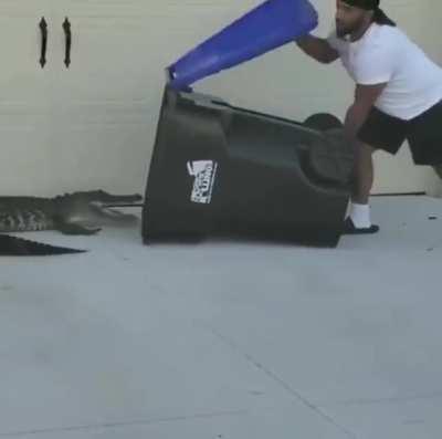 HMB while I try to capture a reptile...