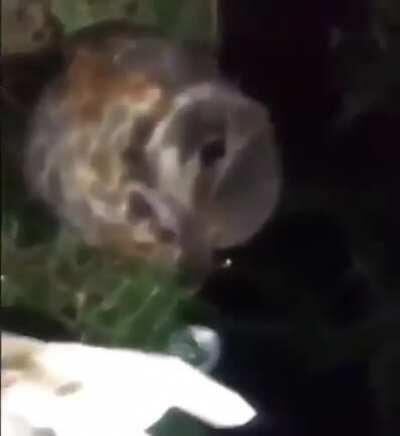 Yooooo I just met Eren irl 😳!!!