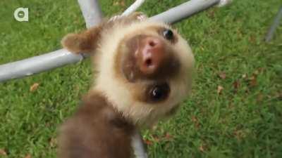 Pardon agalar videoyu indirmek için atıyorum