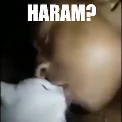 Haram Cat