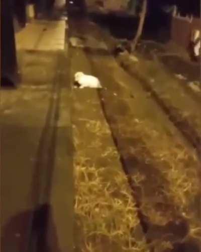 He's coming for your skin