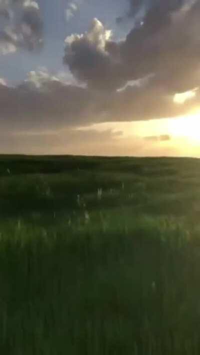 Hollywood scene. (Algeria Tipaza)