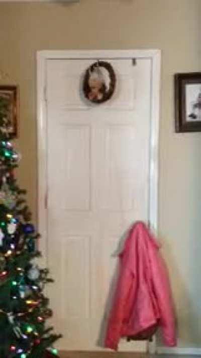 someone i know sent me this