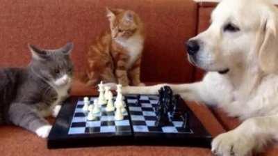 surprising move from the referee