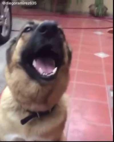 get da fuq outta heree