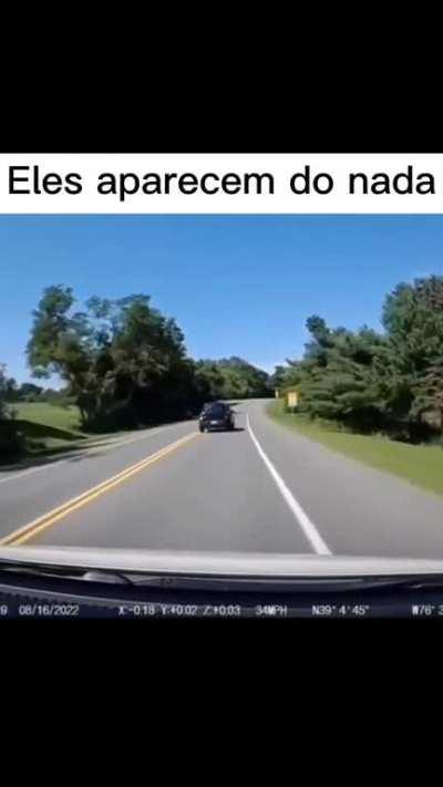 camuflagem perfeita 😎