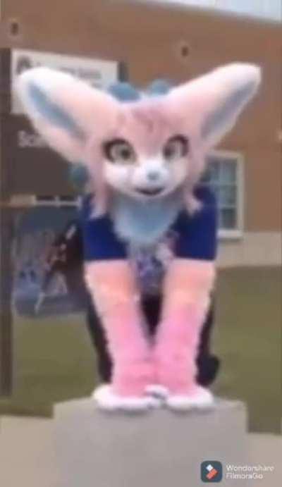 Mi primer post... No soy muy creativo .-.