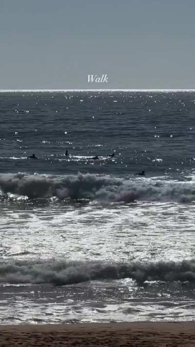 Saturday morning - IG April 2024 