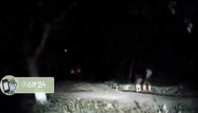 That was a close one