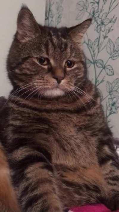 Looking back at you life