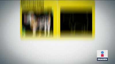 Ilustradores se burlan de la SEP