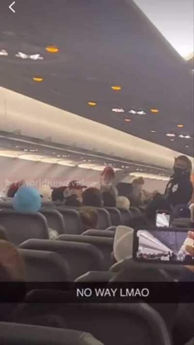 Two anti-maskers cause a whole plane to de-board. They are taken away by the cops to join the No-Fly-List club