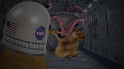 In Spamce No One Can Hear You Screem