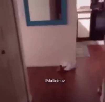 Hay 2 tipos de simp 👉🙄👈