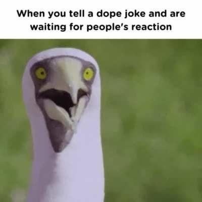 It was the best joke they've ever heard and they know it! (OC)