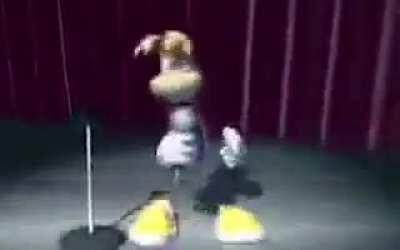 Apparently I have this video of rayman singing sexbomb and I have no idea how I got it