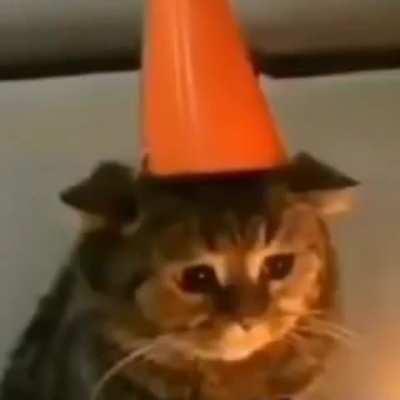 I put on a happy face, and this is how I feel. It feels like the end of the world. I’m so lonely…