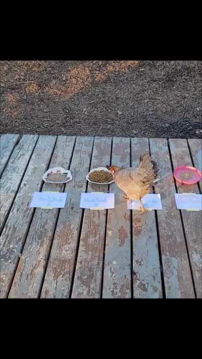 Okay guys, I figured out a way to settle which From game is the best