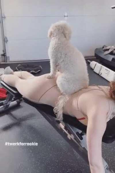 What an Incredible Ass