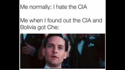 Bolivian W and Florida W. Cuban and Argentinian L