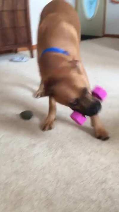 Why is this dog toy so heavy?!