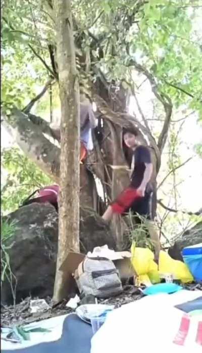 I've had it with this motherfucking snake