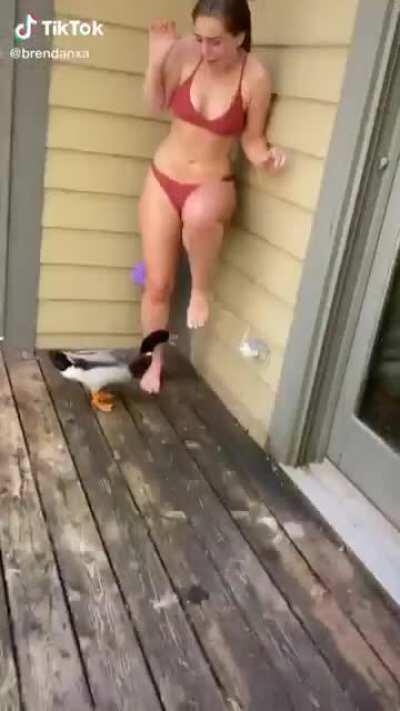 Самонаводящаяся утка Джерри. Убей ее, Джерри...