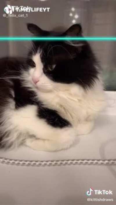 Люди в 1720: *если сейчас художники рисуют так реалистично, что же тогда будет в 2020?* Художники в 2020: