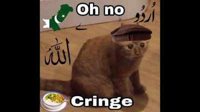 Pakistan Based Mashallah 💪💪💪💪💪🇵🇰🇵🇰🇵🇰🇵🇰🇵🇰🤲🤲🤲🤲🤲